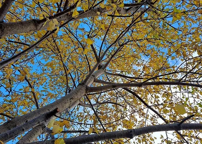 Séjour à la campagne To Apokentro Alona