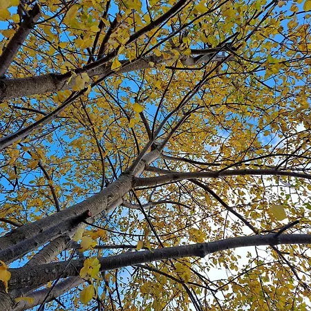 Landhuis To Apokentro Alona