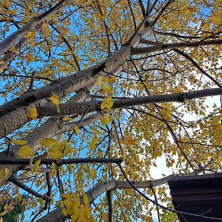 To Apokentro Landhuis *