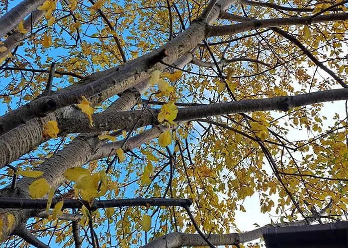 To Apokentro Casa rural *